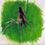 "Bird and Tree" in spring, 2007 - color pan.