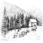 “Cows and Trees” in winter, 2009 - dark and light gray pencil.